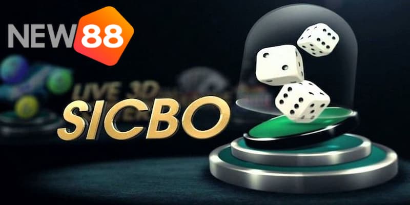 Bật mí các cách chơi sicbo hiệu quả luôn thắng